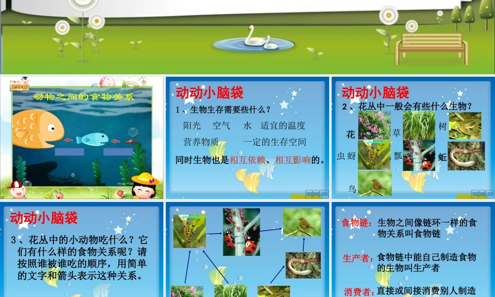 教科小学科学五上《1.5、食物链和食物网》PPT课件(14)【加微信公众号 jiaoxuewuyou 九折优惠 qq 1119139686】.ppt