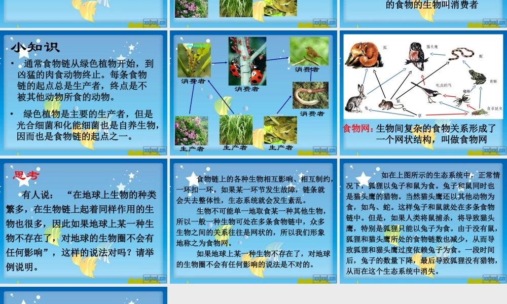 教科小学科学五上《1.5、食物链和食物网》PPT课件(14)【加微信公众号 jiaoxuewuyou 九折优惠 qq 1119139686】.ppt