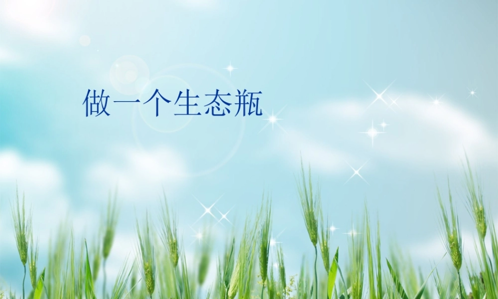 教科小学科学五上《1.6、做一个生态瓶》PPT课件(5)【加微信公众号 jiaoxuewuyou 九折优惠 qq 1119139686】.ppt