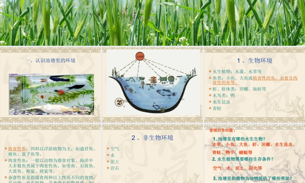 教科小学科学五上《1.6、做一个生态瓶》PPT课件(5)【加微信公众号 jiaoxuewuyou 九折优惠 qq 1119139686】.ppt