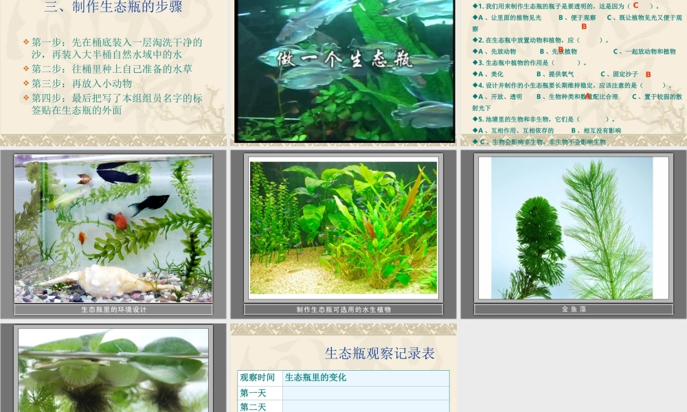 教科小学科学五上《1.6、做一个生态瓶》PPT课件(5)【加微信公众号 jiaoxuewuyou 九折优惠 qq 1119139686】.ppt