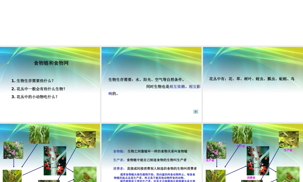 教科小学科学五上《1.5、食物链和食物网》PPT课件(11)【加微信公众号 jiaoxuewuyou 九折优惠 qq 1119139686】.ppt