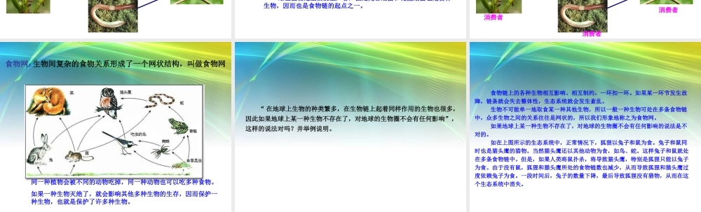 教科小学科学五上《1.5、食物链和食物网》PPT课件(11)【加微信公众号 jiaoxuewuyou 九折优惠 qq 1119139686】.ppt