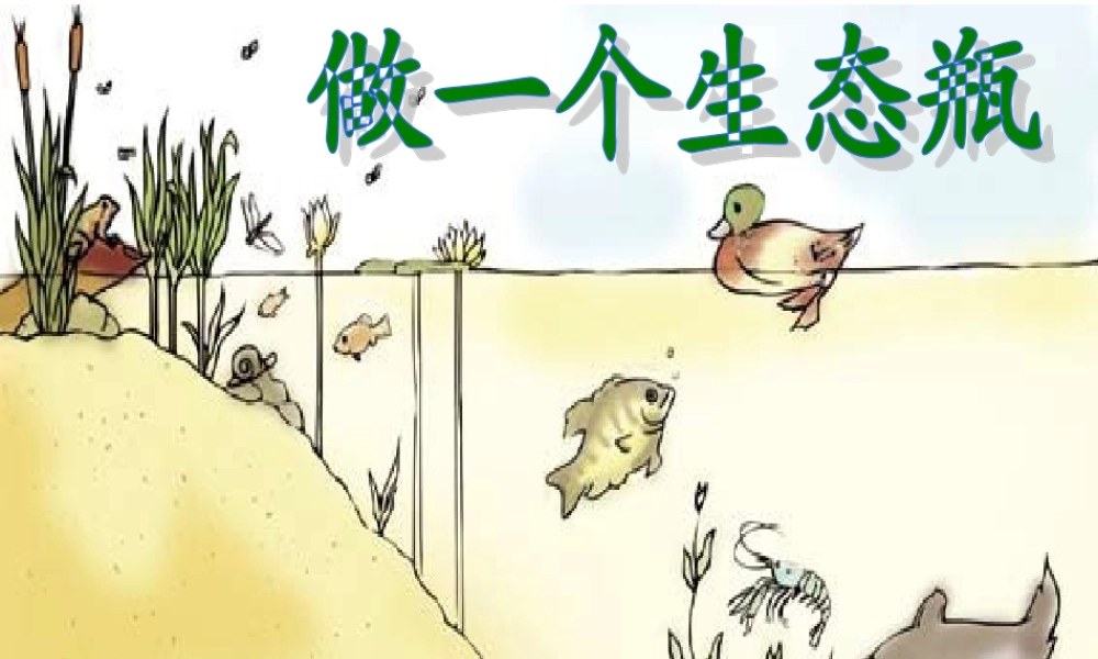 教科小学科学五上《1.6、做一个生态瓶》PPT课件(2)【加微信公众号 jiaoxuewuyou 九折优惠 qq 1119139686】.ppt