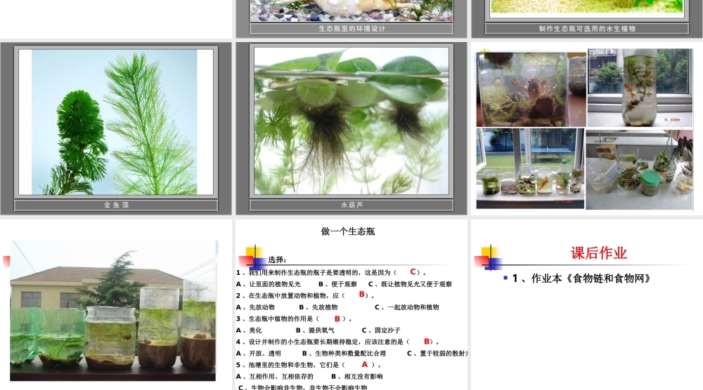 教科小学科学五上《1.6、做一个生态瓶》PPT课件(2)【加微信公众号 jiaoxuewuyou 九折优惠 qq 1119139686】.ppt