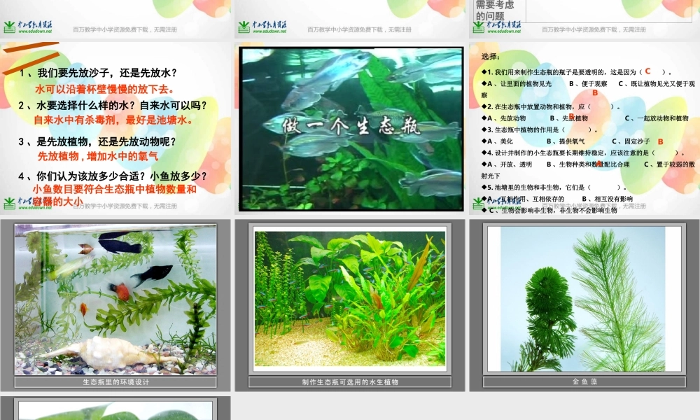 教科小学科学五上《1.6、做一个生态瓶》PPT课件(4)【加微信公众号 jiaoxuewuyou 九折优惠 qq 1119139686】.ppt