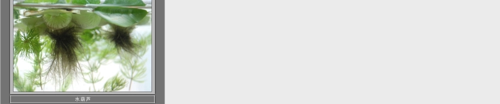 教科小学科学五上《1.6、做一个生态瓶》PPT课件(4)【加微信公众号 jiaoxuewuyou 九折优惠 qq 1119139686】.ppt