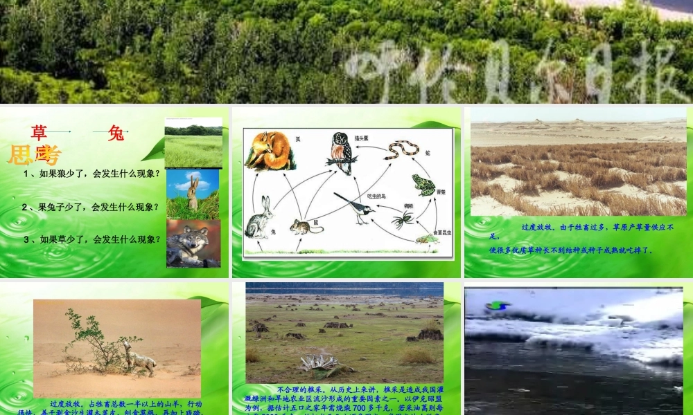 教科小学科学五上《1.8、维护生态平衡》PPT课件(2)【加微信公众号 jiaoxuewuyou 九折优惠 qq 1119139686】.ppt