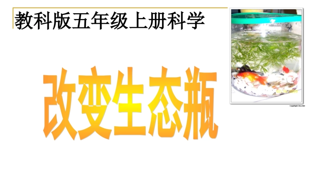 教科小学科学五上《1.7、改变生态瓶》PPT课件(6)【加微信公众号 jiaoxuewuyou 九折优惠 qq 1119139686】.ppt