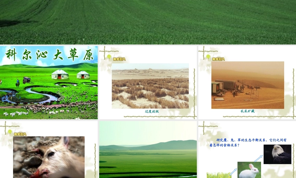 教科小学科学五上《1.8、维护生态平衡》PPT课件(7)【加微信公众号 jiaoxuewuyou 九折优惠 qq 1119139686】.ppt