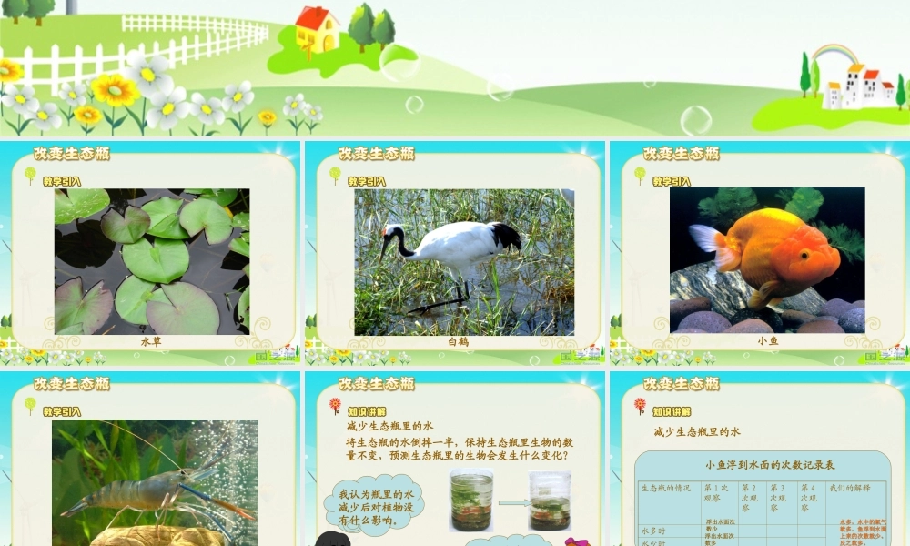 教科小学科学五上《1.7、改变生态瓶》PPT课件(5)【加微信公众号 jiaoxuewuyou 九折优惠 qq 1119139686】.ppt
