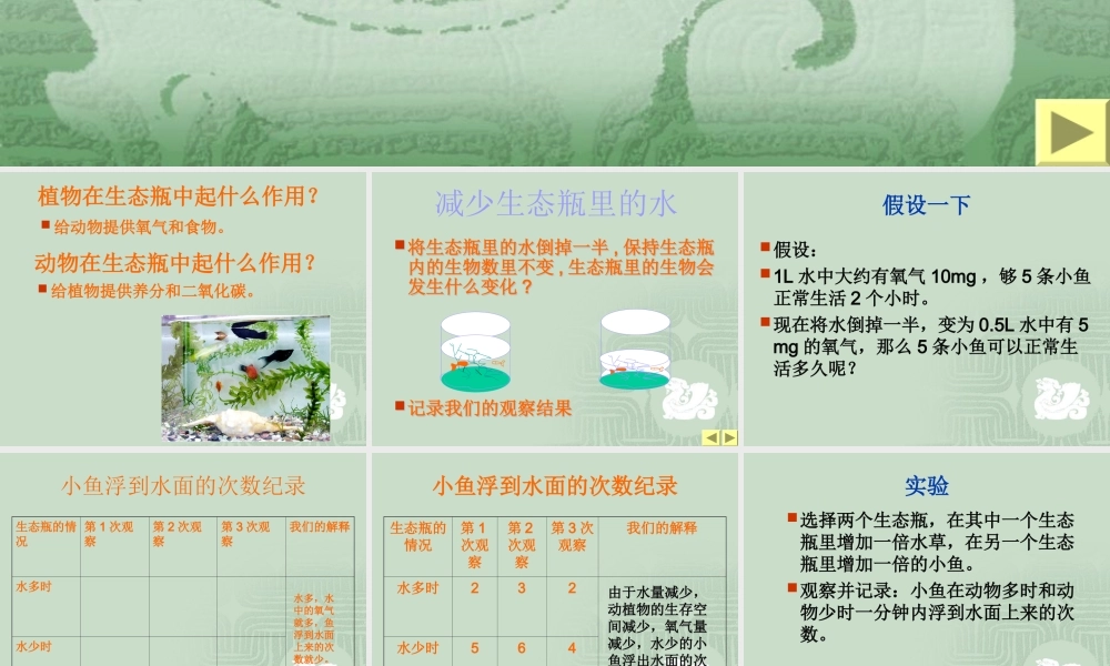 教科小学科学五上《1.7、改变生态瓶》PPT课件(9)【加微信公众号 jiaoxuewuyou 九折优惠 qq 1119139686】.ppt