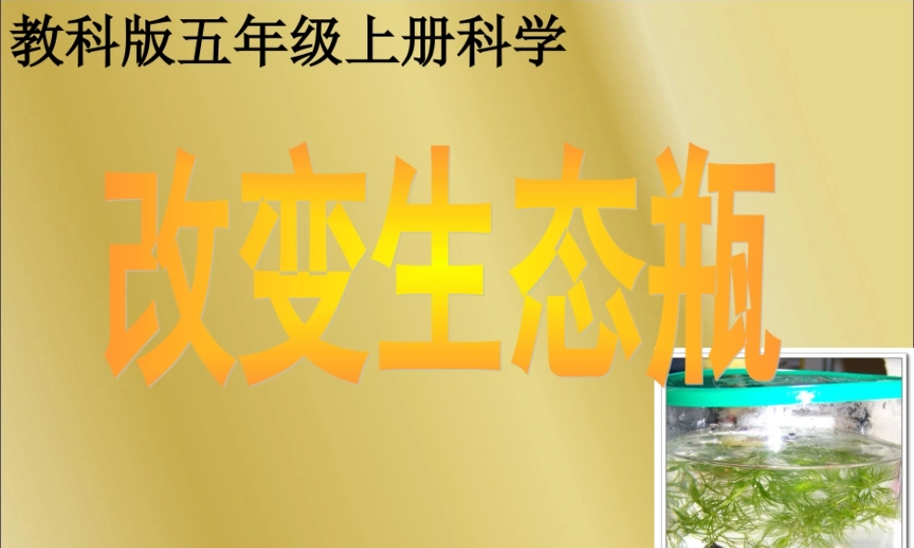 教科小学科学五上《1.7、改变生态瓶》PPT课件(7)【加微信公众号 jiaoxuewuyou 九折优惠 qq 1119139686】.ppt