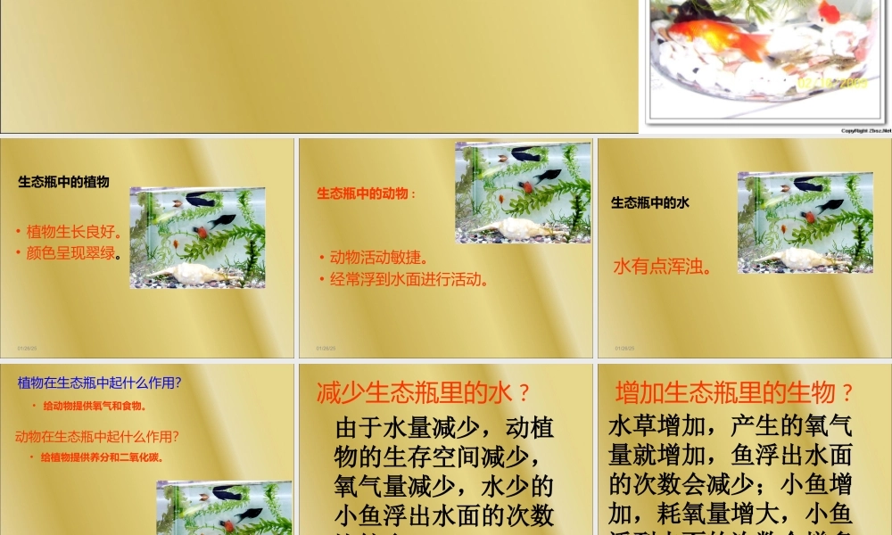 教科小学科学五上《1.7、改变生态瓶》PPT课件(7)【加微信公众号 jiaoxuewuyou 九折优惠 qq 1119139686】.ppt