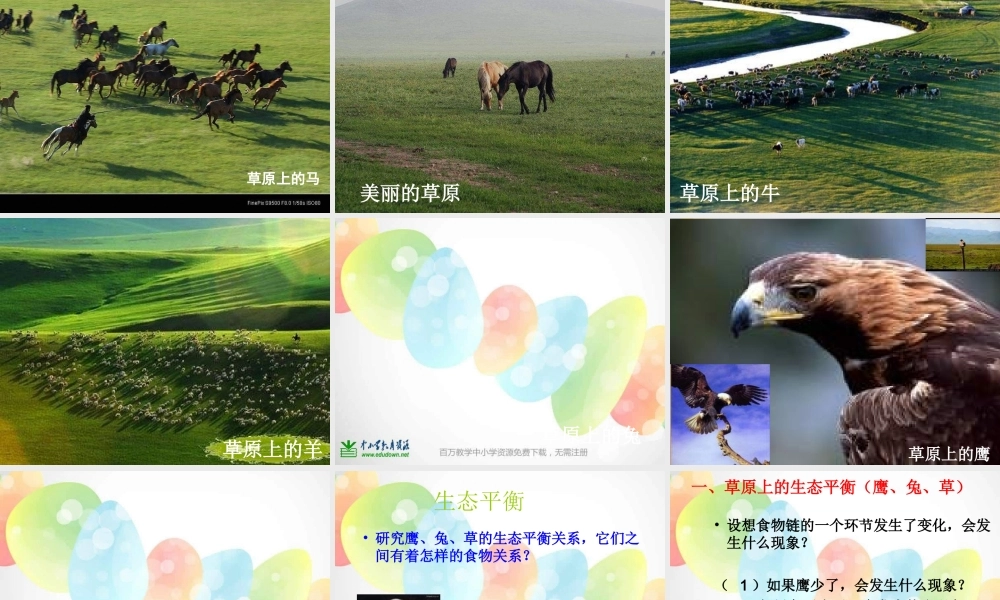 教科小学科学五上《1.8、维护生态平衡》PPT课件(10)【加微信公众号 jiaoxuewuyou 九折优惠 qq 1119139686】.ppt