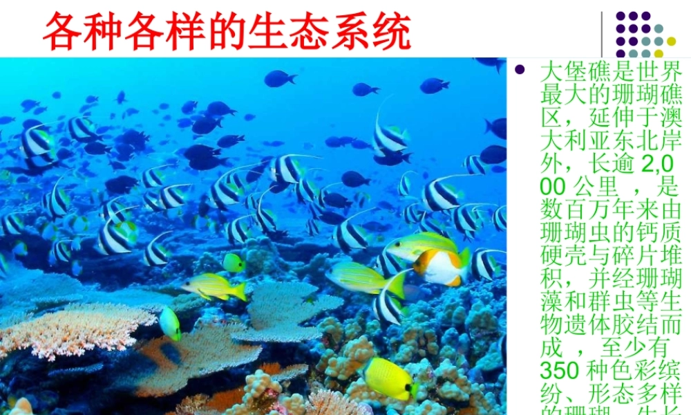 教科小学科学五上《1.8、维护生态平衡》PPT课件(5)【加微信公众号 jiaoxuewuyou 九折优惠 qq 1119139686】.ppt