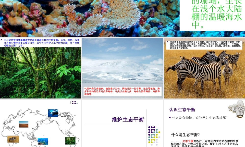 教科小学科学五上《1.8、维护生态平衡》PPT课件(5)【加微信公众号 jiaoxuewuyou 九折优惠 qq 1119139686】.ppt