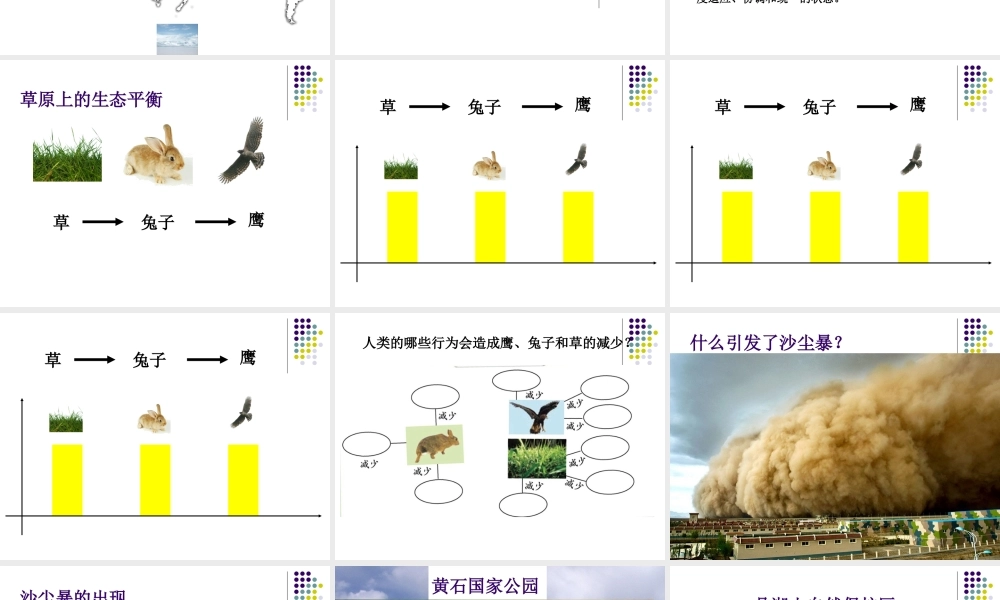 教科小学科学五上《1.8、维护生态平衡》PPT课件(5)【加微信公众号 jiaoxuewuyou 九折优惠 qq 1119139686】.ppt