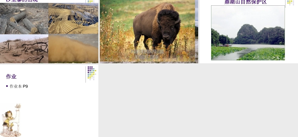 教科小学科学五上《1.8、维护生态平衡》PPT课件(5)【加微信公众号 jiaoxuewuyou 九折优惠 qq 1119139686】.ppt