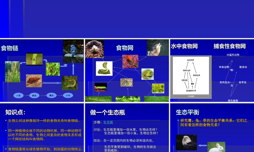 教科小学科学五上《1.8、维护生态平衡》PPT课件(16)【加微信公众号 jiaoxuewuyou 九折优惠 qq 1119139686】.ppt