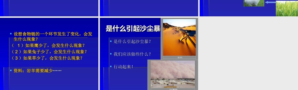 教科小学科学五上《1.8、维护生态平衡》PPT课件(16)【加微信公众号 jiaoxuewuyou 九折优惠 qq 1119139686】.ppt