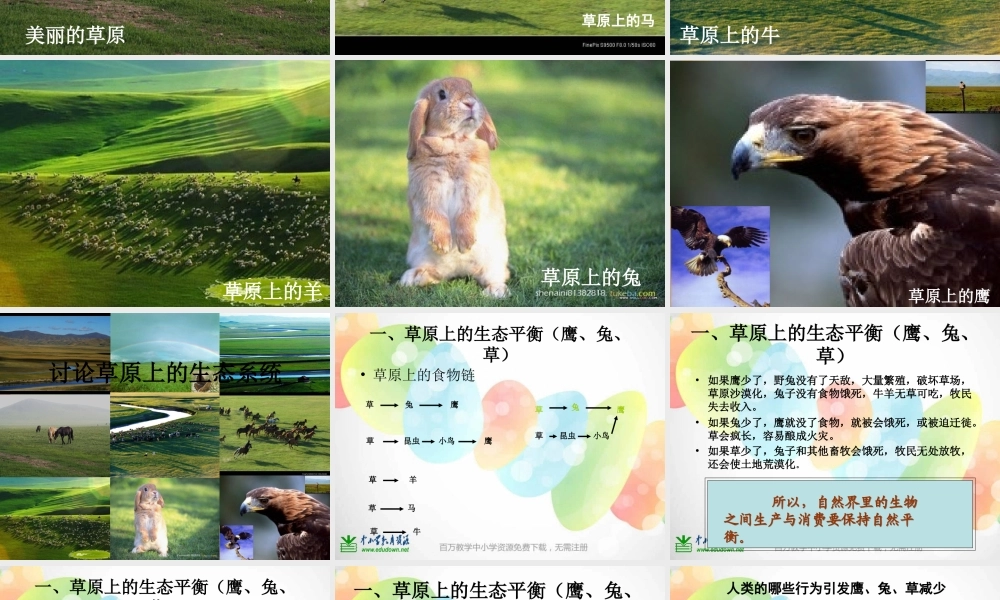 教科小学科学五上《1.8、维护生态平衡》PPT课件(4)【加微信公众号 jiaoxuewuyou 九折优惠 qq 1119139686】.ppt