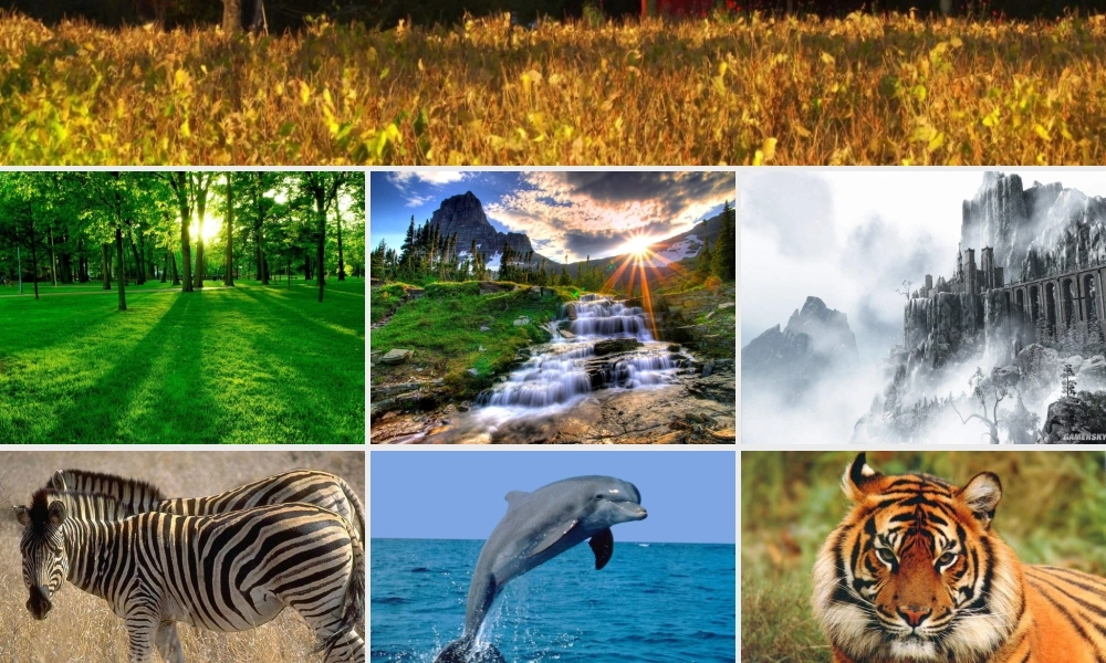 教科小学科学五上《1.8、维护生态平衡》PPT课件(11)【加微信公众号 jiaoxuewuyou 九折优惠 qq 1119139686】.ppt