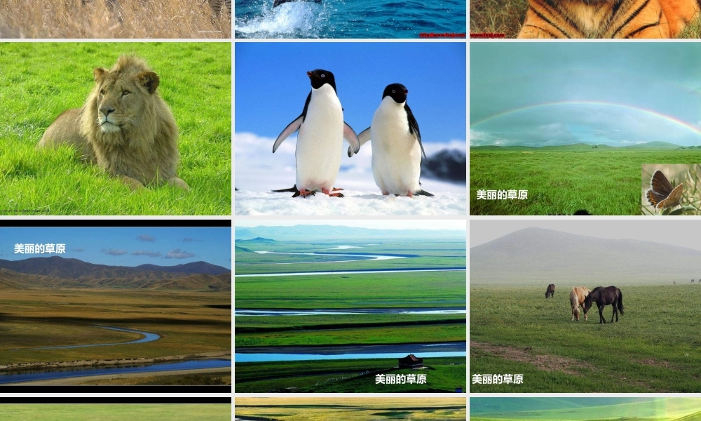 教科小学科学五上《1.8、维护生态平衡》PPT课件(11)【加微信公众号 jiaoxuewuyou 九折优惠 qq 1119139686】.ppt