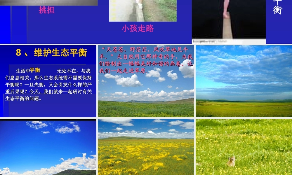 教科小学科学五上《1.8、维护生态平衡》PPT课件(8)【加微信公众号 jiaoxuewuyou 九折优惠 qq 1119139686】.ppt
