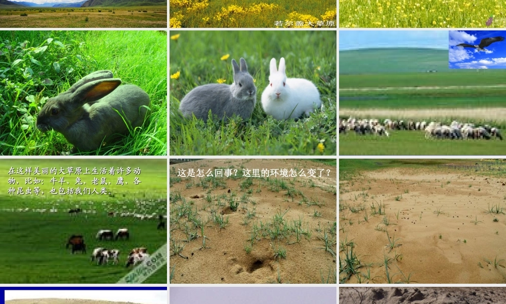 教科小学科学五上《1.8、维护生态平衡》PPT课件(8)【加微信公众号 jiaoxuewuyou 九折优惠 qq 1119139686】.ppt