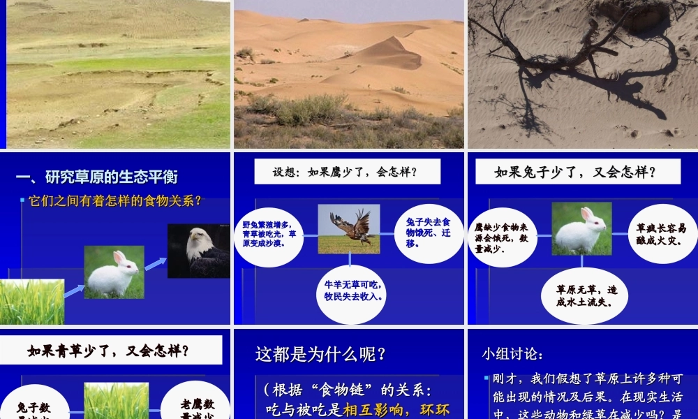 教科小学科学五上《1.8、维护生态平衡》PPT课件(8)【加微信公众号 jiaoxuewuyou 九折优惠 qq 1119139686】.ppt