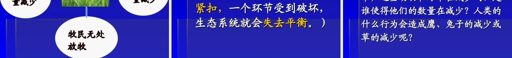 教科小学科学五上《1.8、维护生态平衡》PPT课件(8)【加微信公众号 jiaoxuewuyou 九折优惠 qq 1119139686】.ppt