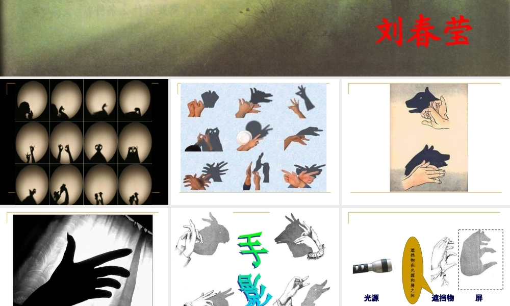 教科小学科学五上《2.1、光和影》PPT课件(1)【加微信公众号 jiaoxuewuyou 九折优惠 qq 1119139686】.ppt