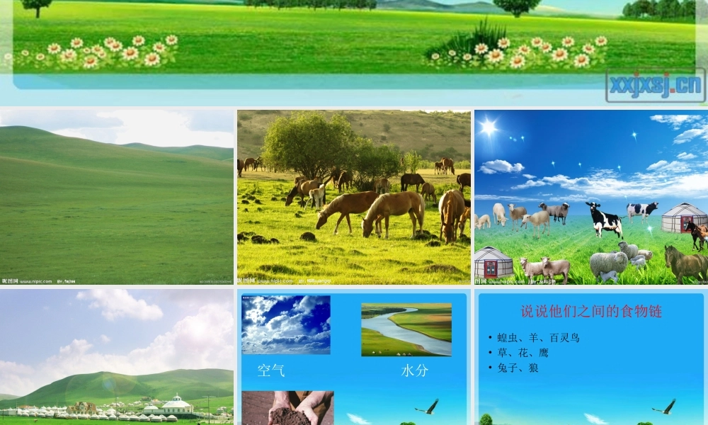 教科小学科学五上《1.8、维护生态平衡》PPT课件(3)【加微信公众号 jiaoxuewuyou 九折优惠 qq 1119139686】.ppt