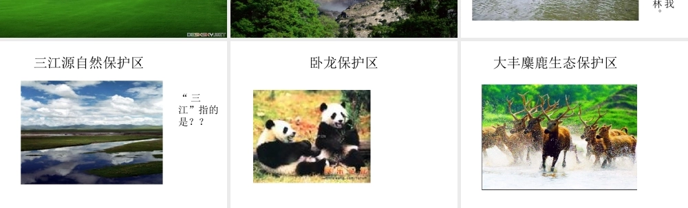 教科小学科学五上《1.8、维护生态平衡》PPT课件(13)【加微信公众号 jiaoxuewuyou 九折优惠 qq 1119139686】.ppt