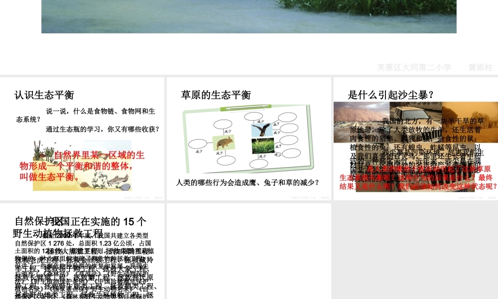 教科小学科学五上《1.8、维护生态平衡》PPT课件(9)【加微信公众号 jiaoxuewuyou 九折优惠 qq 1119139686】.ppt