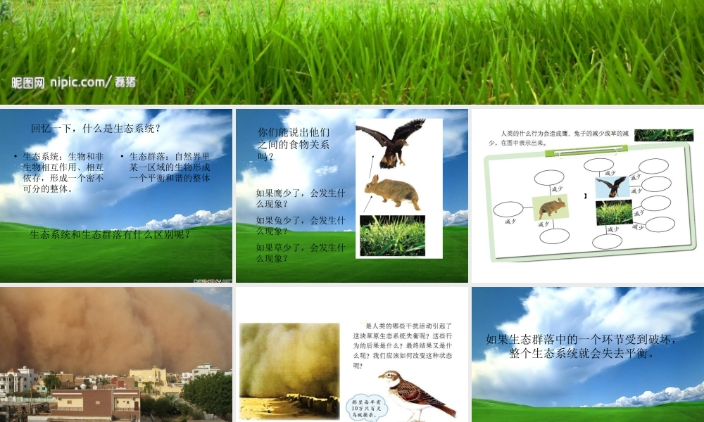 教科小学科学五上《1.8、维护生态平衡》PPT课件(12)【加微信公众号 jiaoxuewuyou 九折优惠 qq 1119139686】.ppt