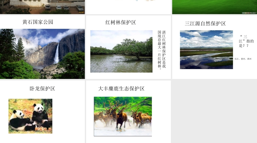 教科小学科学五上《1.8、维护生态平衡》PPT课件(12)【加微信公众号 jiaoxuewuyou 九折优惠 qq 1119139686】.ppt