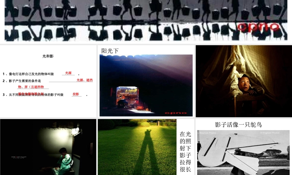 教科小学科学五上《2.1、光和影》PPT课件(11)【加微信公众号 jiaoxuewuyou 九折优惠 qq 1119139686】.ppt