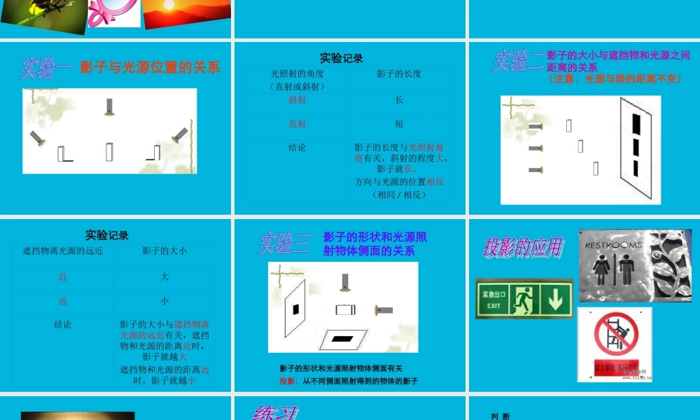教科小学科学五上《2.1、光和影》PPT课件(9)【加微信公众号 jiaoxuewuyou 九折优惠 qq 1119139686】.ppt