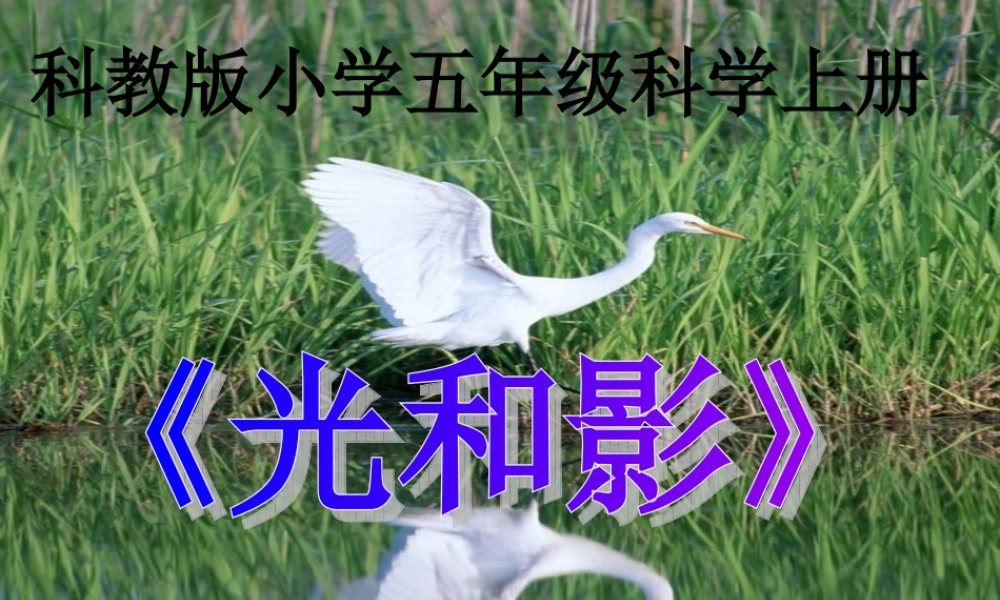 教科小学科学五上《2.1、光和影》PPT课件(15)【加微信公众号 jiaoxuewuyou 九折优惠 qq 1119139686】.ppt