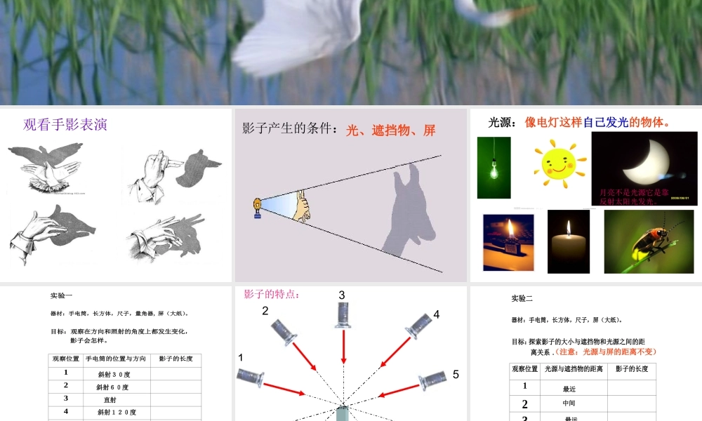 教科小学科学五上《2.1、光和影》PPT课件(15)【加微信公众号 jiaoxuewuyou 九折优惠 qq 1119139686】.ppt