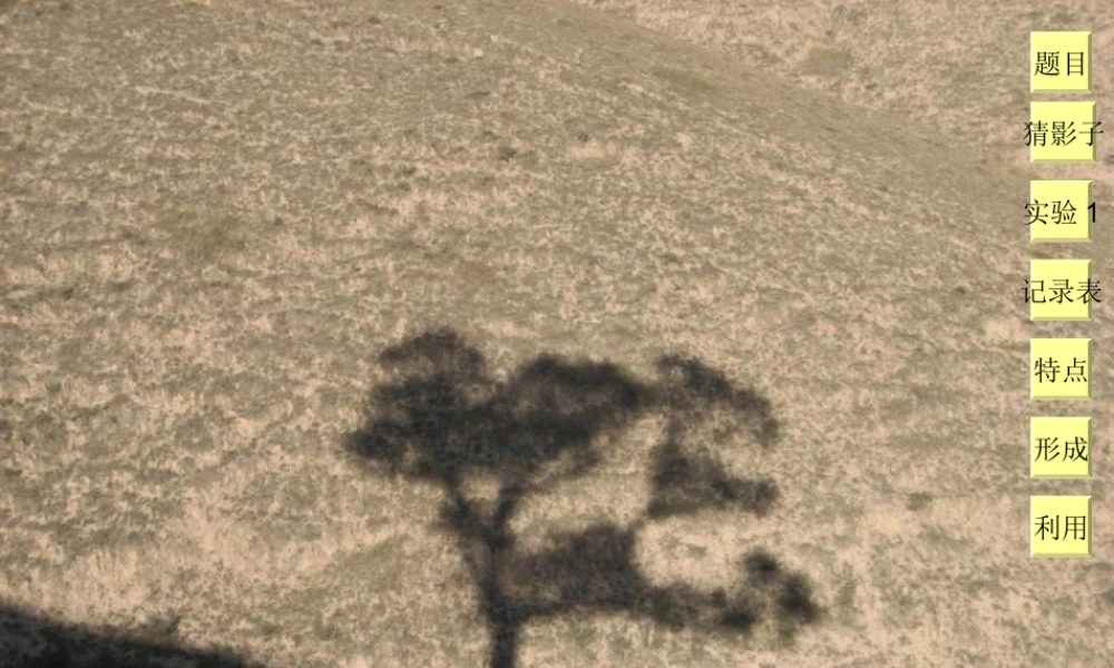 教科小学科学五上《2.2、阳光下的影子》PPT课件(8)【加微信公众号 jiaoxuewuyou 九折优惠 qq 1119139686】.ppt