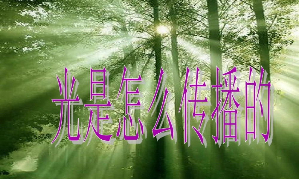 教科小学科学五上《2.3、光是怎样传播的》PPT课件(2)【加微信公众号 jiaoxuewuyou 九折优惠 qq 1119139686】.ppt