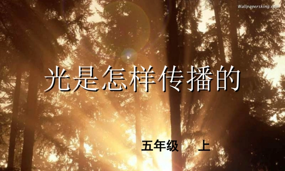 教科小学科学五上《2.3、光是怎样传播的》PPT课件(1)【加微信公众号 jiaoxuewuyou 九折优惠 qq 1119139686】.ppt