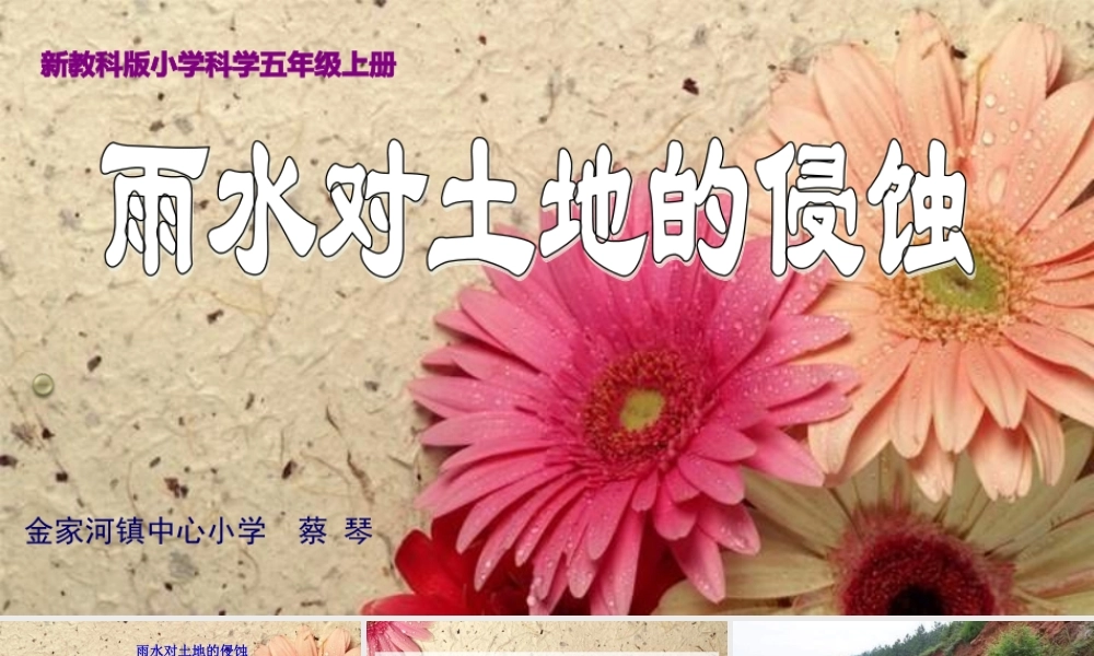 教科小学科学五上《3.5、雨水对土地的侵蚀》PPT课件(3)【加微信公众号 jiaoxuewuyou 九折优惠 qq 1119139686】.ppt