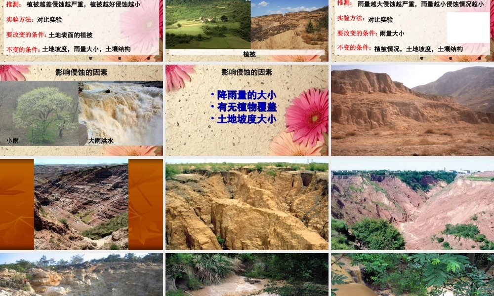 教科小学科学五上《3.5、雨水对土地的侵蚀》PPT课件(3)【加微信公众号 jiaoxuewuyou 九折优惠 qq 1119139686】.ppt