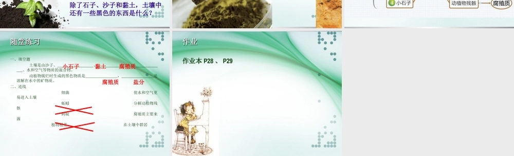 教科小学科学五上《3.4、土壤中有什么》PPT课件(5)【加微信公众号 jiaoxuewuyou 九折优惠 qq 1119139686】.ppt