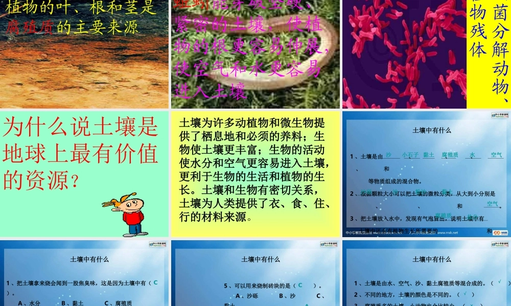 教科小学科学五上《3.4、土壤中有什么》PPT课件(3)【加微信公众号 jiaoxuewuyou 九折优惠 qq 1119139686】.ppt