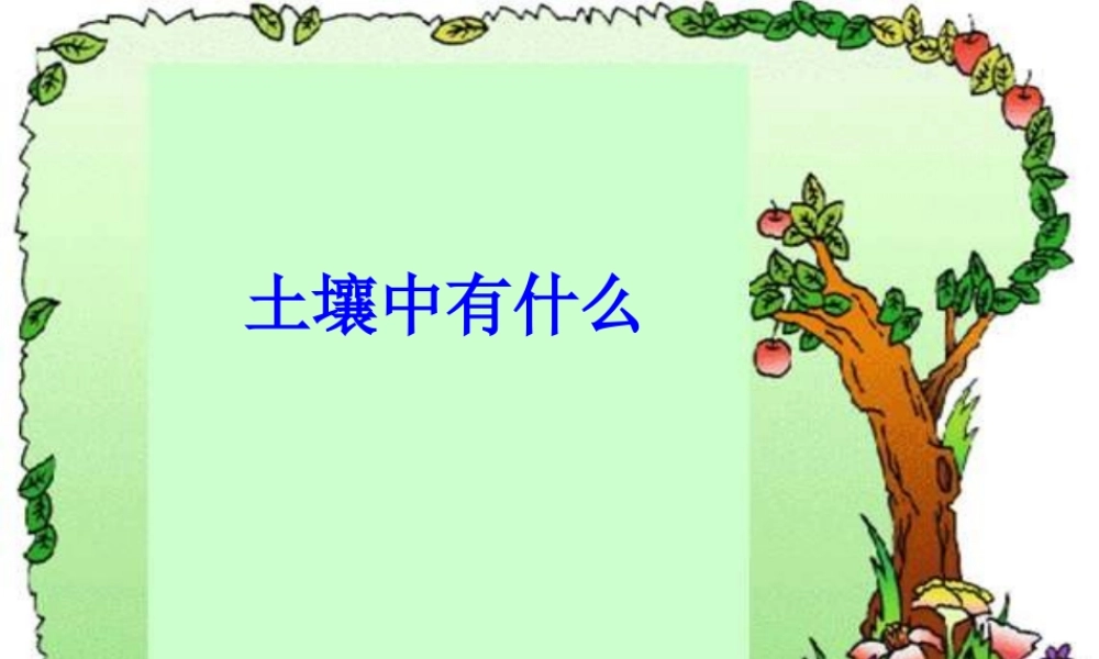 教科小学科学五上《3.4、土壤中有什么》PPT课件(2)【加微信公众号 jiaoxuewuyou 九折优惠 qq 1119139686】.ppt